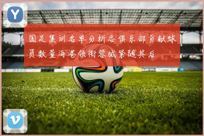 国足集训名单分析各俱乐部贡献球员数量海港领衔蓉城紧随其后